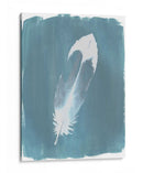 Plumas En Dusty Teal Vii - Grace Popp | Cuadro decorativo de Canvas Lab