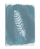 Plumas En Dusty Teal Viii - Grace Popp | Cuadro decorativo de Canvas Lab