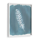 Plumas En Dusty Teal Viii - Grace Popp | Cuadro decorativo de Canvas Lab