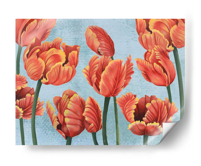 Ruby Tulipanes I - Grace Popp | Cuadro decorativo de Canvas Lab