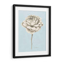 Estudio Botánico Grafito I - Grace Popp | Cuadro decorativo de Canvas Lab