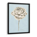 Estudio Botánico Grafito I - Grace Popp | Cuadro decorativo de Canvas Lab