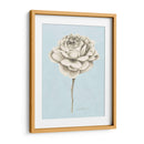 Estudio Botánico Grafito I - Grace Popp | Cuadro decorativo de Canvas Lab