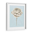 Estudio Botánico Grafito I - Grace Popp | Cuadro decorativo de Canvas Lab