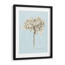 Grafito Estudio Botánico Ii - Grace Popp | Cuadro decorativo de Canvas Lab