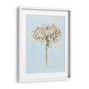 Grafito Estudio Botánico Ii - Grace Popp | Cuadro decorativo de Canvas Lab