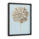 Estudio Botánico De Grafito Iii - Grace Popp | Cuadro decorativo de Canvas Lab