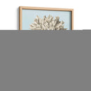 Estudio Botánico De Grafito Iii - Grace Popp | Cuadro decorativo de Canvas Lab