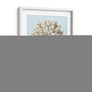 Estudio Botánico De Grafito Iii - Grace Popp | Cuadro decorativo de Canvas Lab