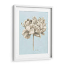 Estudio Botánico De Grafito Iv - Grace Popp | Cuadro decorativo de Canvas Lab