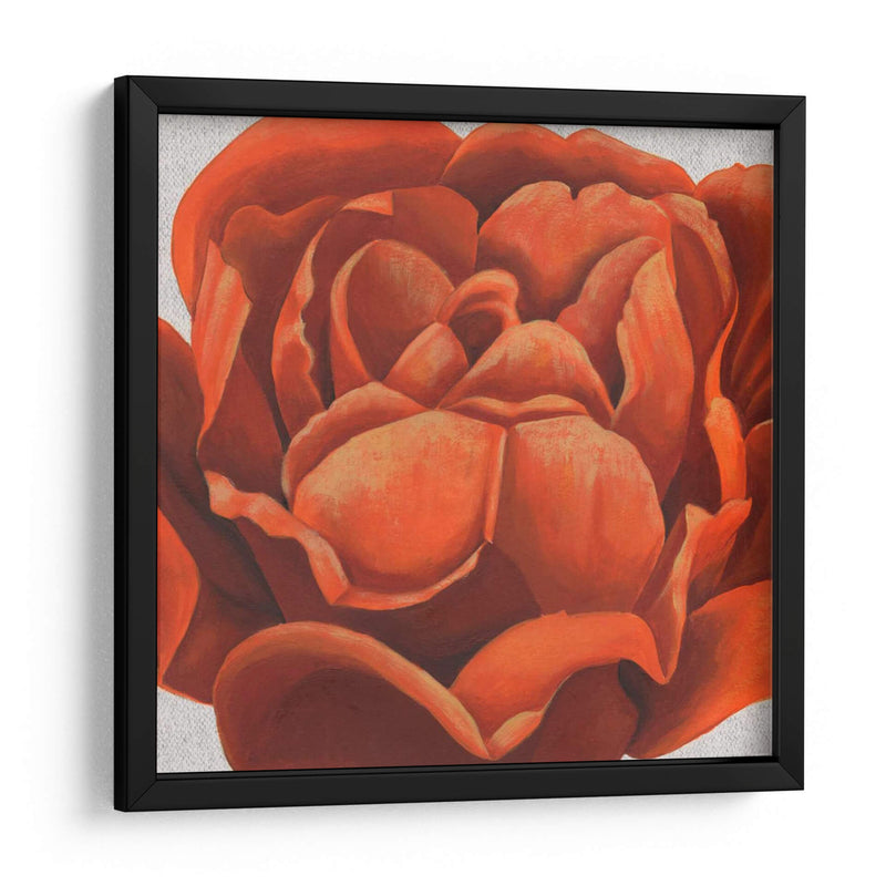 Friery Floral Ii - Grace Popp | Cuadro decorativo de Canvas Lab