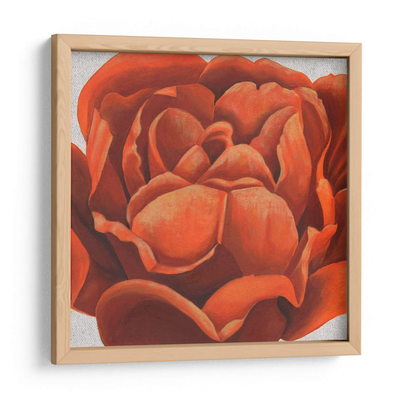 Friery Floral Ii - Grace Popp | Cuadro decorativo de Canvas Lab