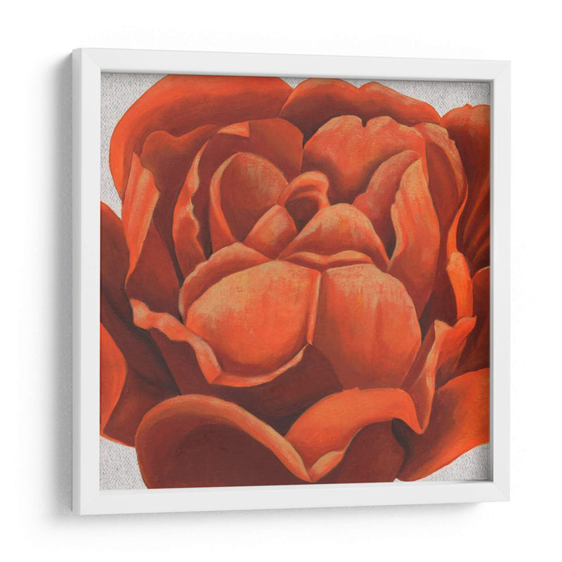 Friery Floral Ii - Grace Popp | Cuadro decorativo de Canvas Lab