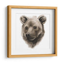 Estudio De Animales Occidentales I - Grace Popp | Cuadro decorativo de Canvas Lab