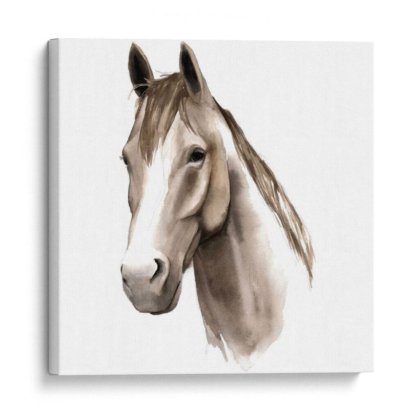 Estudio De Animales Occidentales Ii - Grace Popp | Cuadro decorativo de Canvas Lab