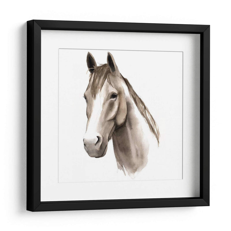 Estudio De Animales Occidentales Ii - Grace Popp | Cuadro decorativo de Canvas Lab