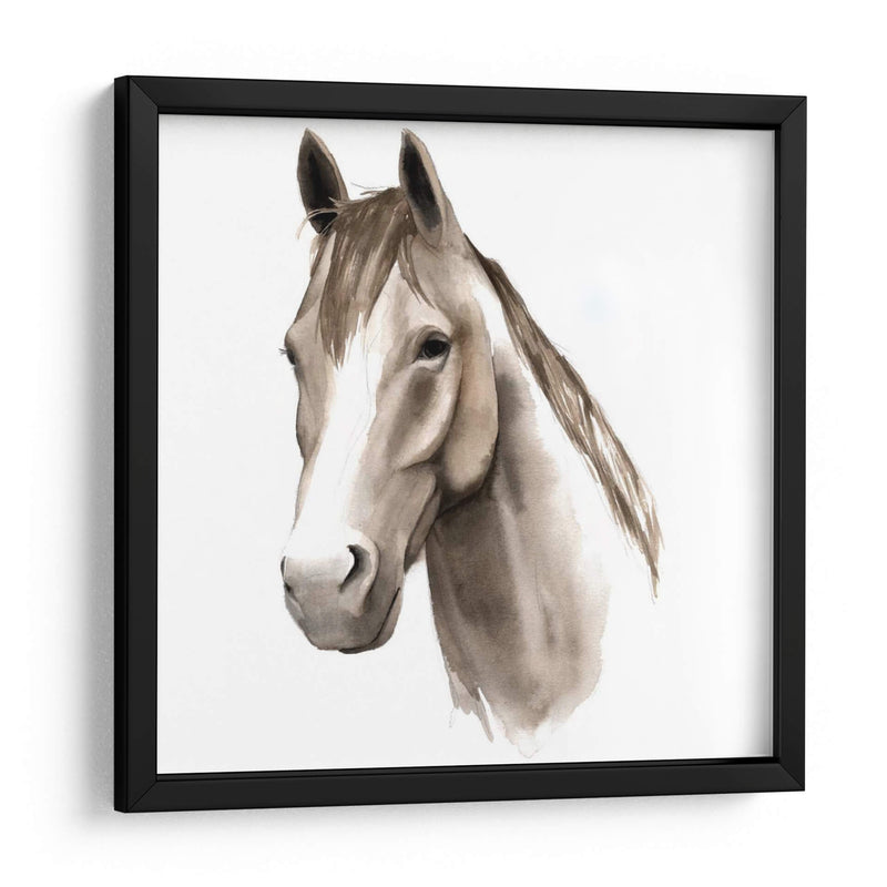 Estudio De Animales Occidentales Ii - Grace Popp | Cuadro decorativo de Canvas Lab