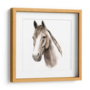 Estudio De Animales Occidentales Ii - Grace Popp | Cuadro decorativo de Canvas Lab