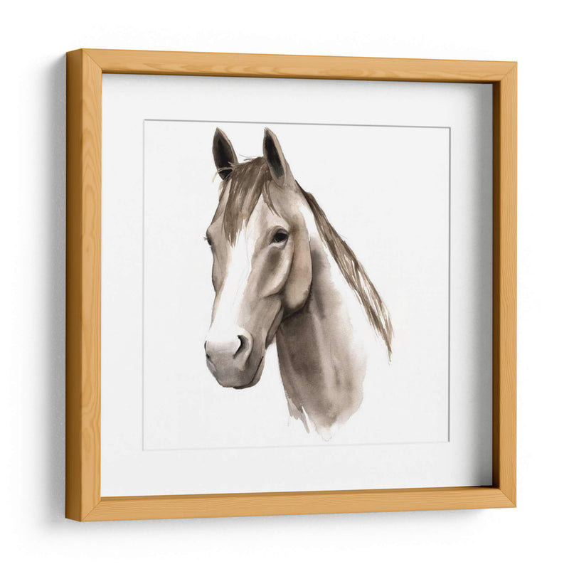 Estudio De Animales Occidentales Ii - Grace Popp | Cuadro decorativo de Canvas Lab