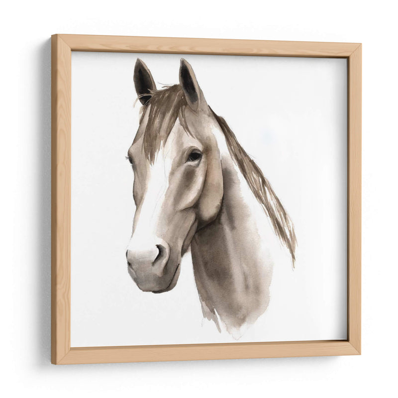 Estudio De Animales Occidentales Ii - Grace Popp | Cuadro decorativo de Canvas Lab