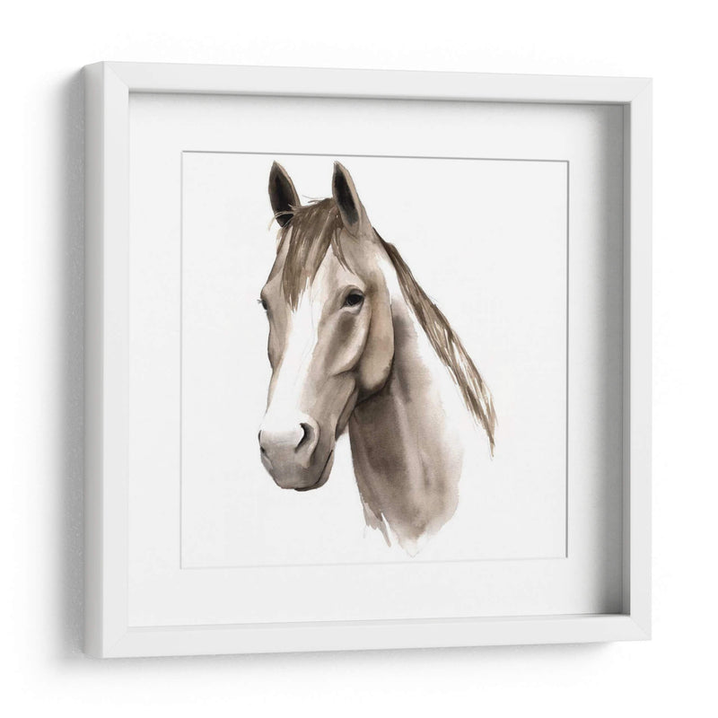 Estudio De Animales Occidentales Ii - Grace Popp | Cuadro decorativo de Canvas Lab