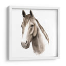 Estudio De Animales Occidentales Ii - Grace Popp | Cuadro decorativo de Canvas Lab