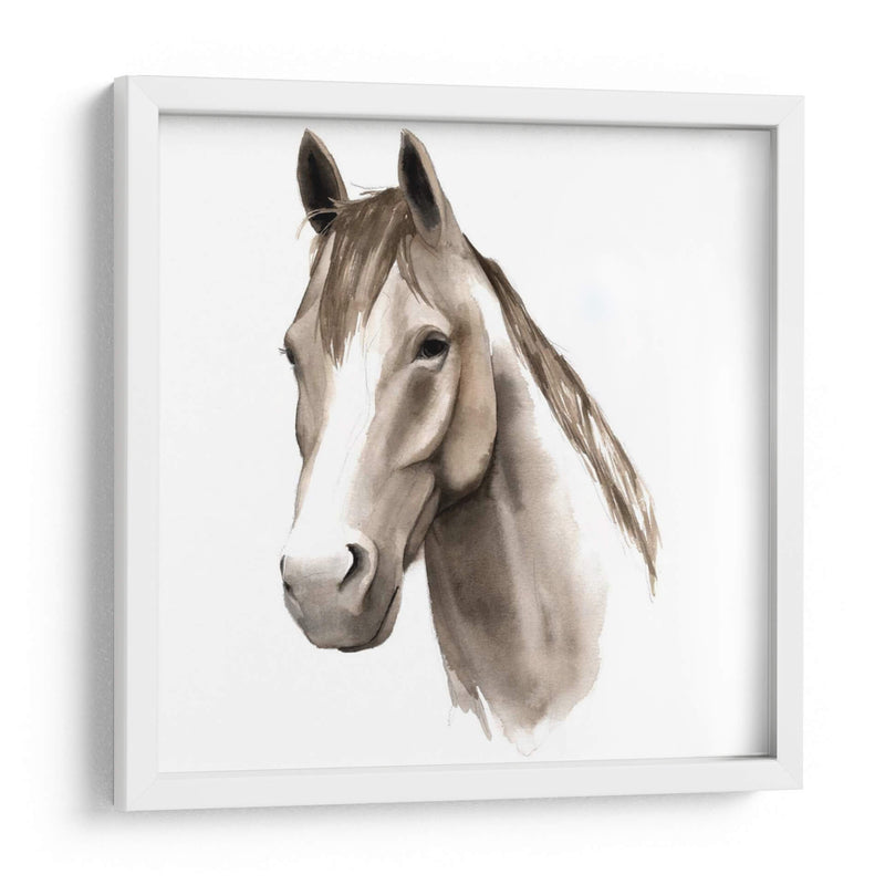 Estudio De Animales Occidentales Ii - Grace Popp | Cuadro decorativo de Canvas Lab