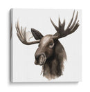 Estudio De Animales Occidentales Iii - Grace Popp | Cuadro decorativo de Canvas Lab