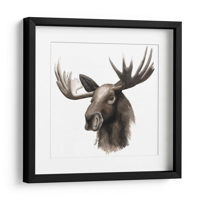 Estudio De Animales Occidentales Iii - Grace Popp | Cuadro decorativo de Canvas Lab