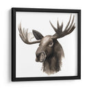 Estudio De Animales Occidentales Iii - Grace Popp | Cuadro decorativo de Canvas Lab