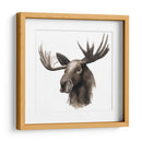 Estudio De Animales Occidentales Iii - Grace Popp | Cuadro decorativo de Canvas Lab