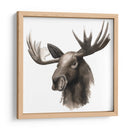 Estudio De Animales Occidentales Iii - Grace Popp | Cuadro decorativo de Canvas Lab