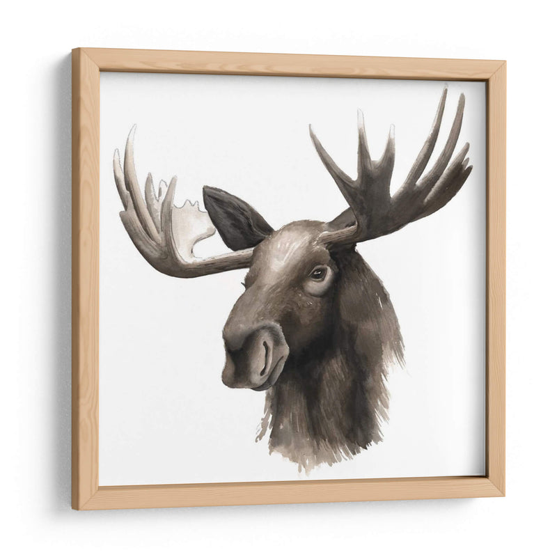 Estudio De Animales Occidentales Iii - Grace Popp | Cuadro decorativo de Canvas Lab