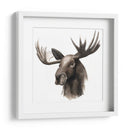 Estudio De Animales Occidentales Iii - Grace Popp | Cuadro decorativo de Canvas Lab