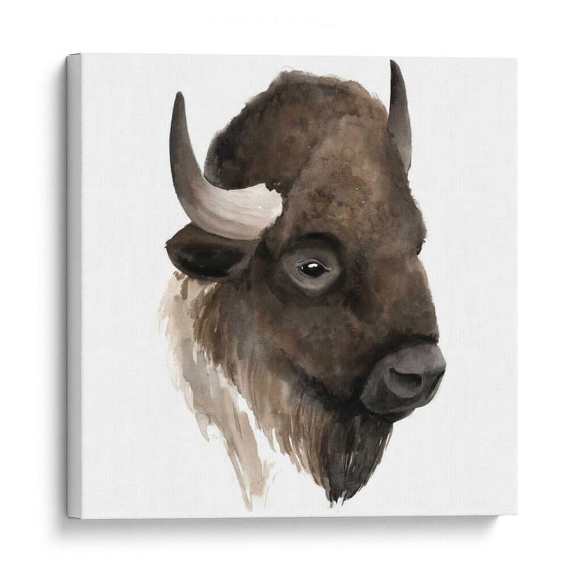 Estudio De Animales Occidentales Iv - Grace Popp | Cuadro decorativo de Canvas Lab