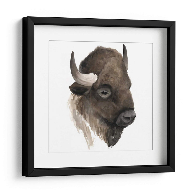 Estudio De Animales Occidentales Iv - Grace Popp | Cuadro decorativo de Canvas Lab