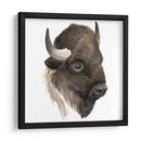 Estudio De Animales Occidentales Iv - Grace Popp | Cuadro decorativo de Canvas Lab