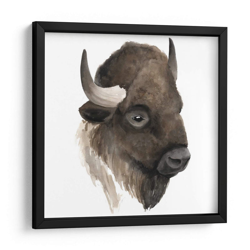 Estudio De Animales Occidentales Iv - Grace Popp | Cuadro decorativo de Canvas Lab