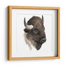 Estudio De Animales Occidentales Iv - Grace Popp | Cuadro decorativo de Canvas Lab