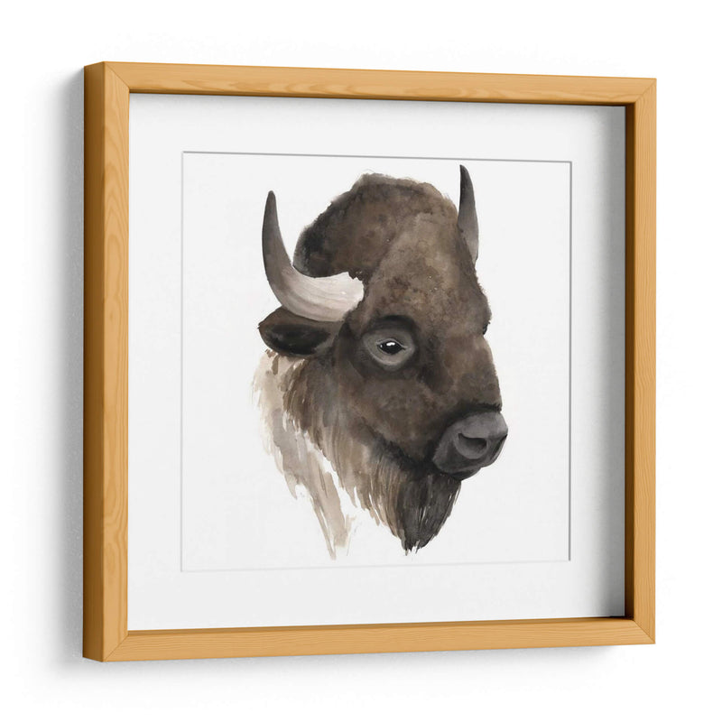 Estudio De Animales Occidentales Iv - Grace Popp | Cuadro decorativo de Canvas Lab