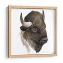 Estudio De Animales Occidentales Iv - Grace Popp | Cuadro decorativo de Canvas Lab