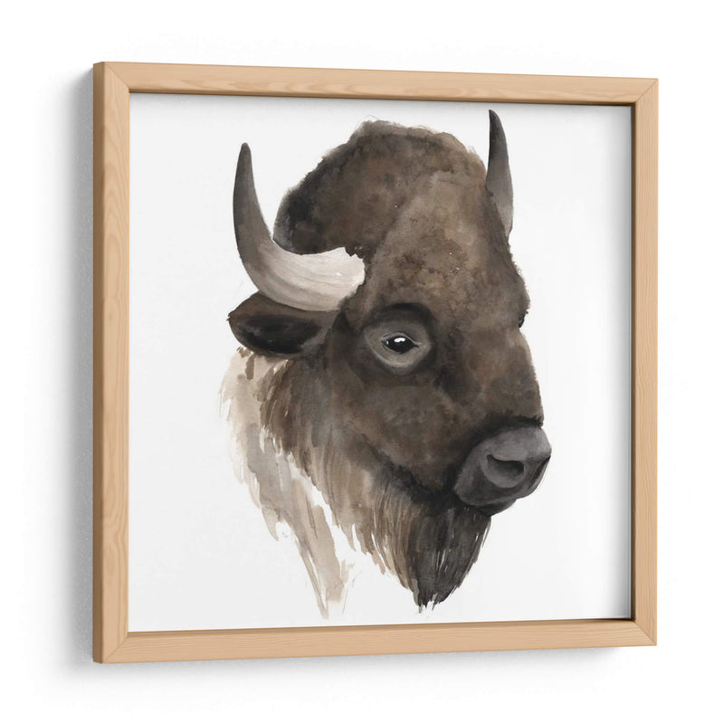 Estudio De Animales Occidentales Iv - Grace Popp | Cuadro decorativo de Canvas Lab