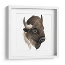 Estudio De Animales Occidentales Iv - Grace Popp | Cuadro decorativo de Canvas Lab