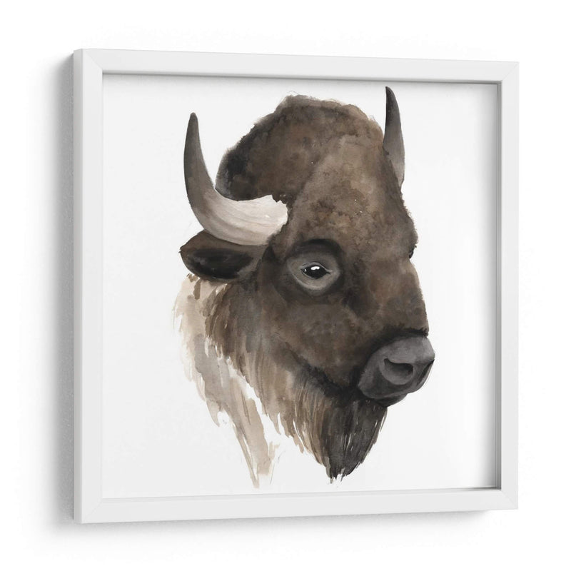 Estudio De Animales Occidentales Iv - Grace Popp | Cuadro decorativo de Canvas Lab