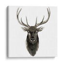 Estudio De Animal Occidental V - Grace Popp | Cuadro decorativo de Canvas Lab