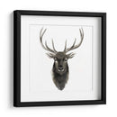 Estudio De Animal Occidental V - Grace Popp | Cuadro decorativo de Canvas Lab