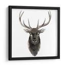 Estudio De Animal Occidental V - Grace Popp | Cuadro decorativo de Canvas Lab