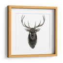 Estudio De Animal Occidental V - Grace Popp | Cuadro decorativo de Canvas Lab