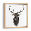 Estudio De Animal Occidental V - Grace Popp | Cuadro decorativo de Canvas Lab