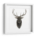 Estudio De Animal Occidental V - Grace Popp | Cuadro decorativo de Canvas Lab